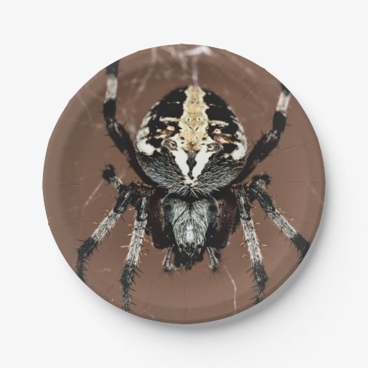 Halloween Spider Paper Plate Pappteller (Vorderseite)