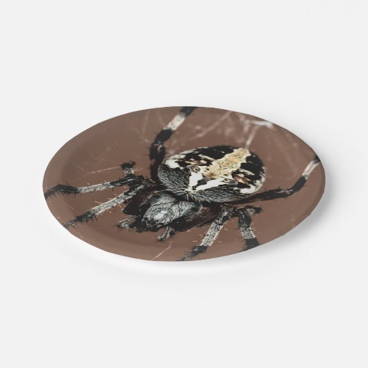 Halloween Spider Paper Plate Pappteller (Schrägansicht)