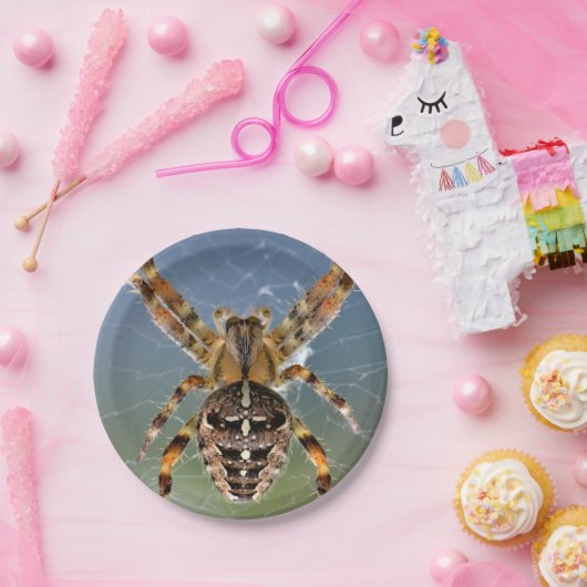 Halloween Spider Paper Plate Pappteller (Party)