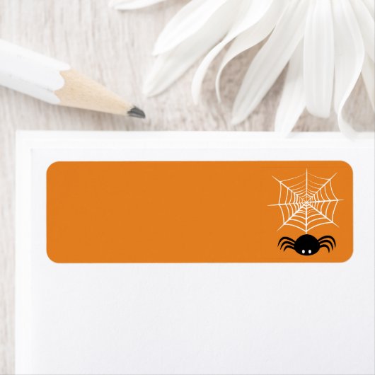 Halloween Spider Web (Insitu)