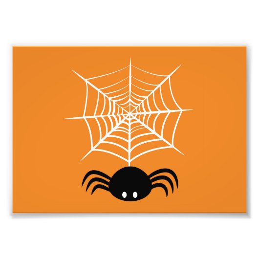 Halloween Spider Web Fotodruck (Vorne)