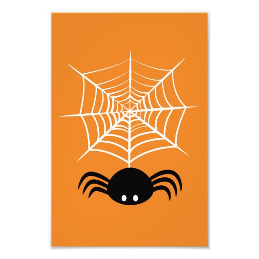 Halloween Spider Web Fotodruck (Vorne)