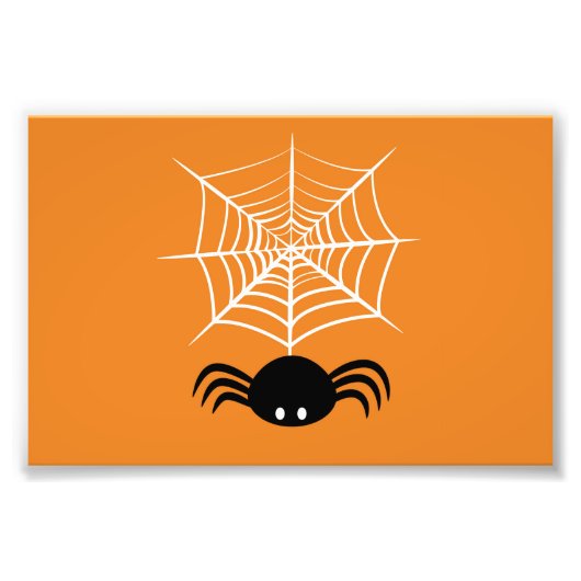Halloween Spider Web Fotodruck (Vorne)