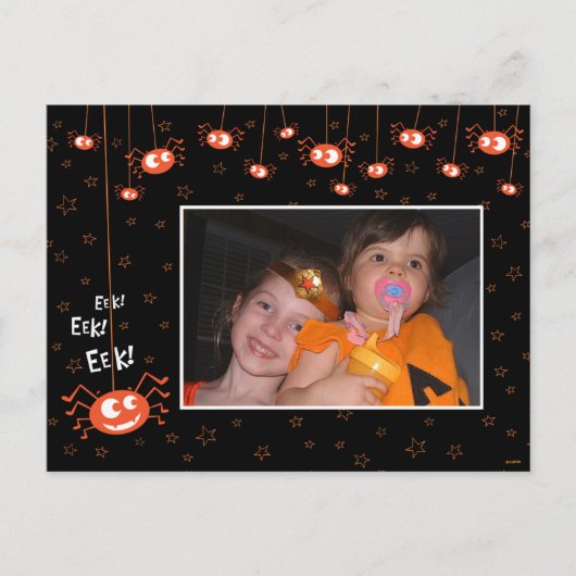 Halloween Spiders und Web Foto Postcard Postkarte (Vorderseite)