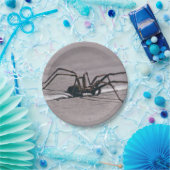 Halloween-Spinne aus Papierplatte Pappteller (Party)