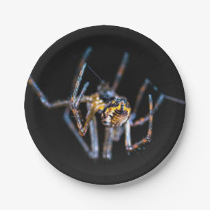 Halloween-Spinne aus Papierplatte Pappteller
