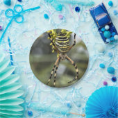 Halloween-Spinne-Papierteller Pappteller (Party)