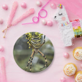 Halloween-Spinne-Papierteller Pappteller (Party)