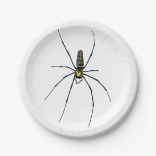 Halloween-Spinne-Papierteller Pappteller
