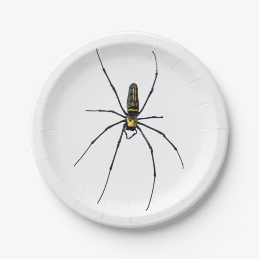 Halloween-Spinne-Papierteller Pappteller (Vorderseite)