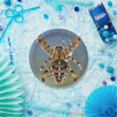 Halloween-Spinne-Papierteller Pappteller (Party)