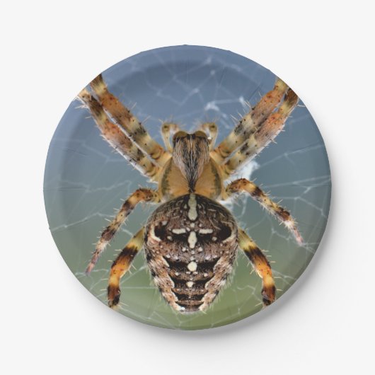 Halloween-Spinne-Papierteller Pappteller (Vorderseite)