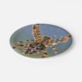 Halloween-Spinne-Papierteller Pappteller (Schrägansicht)