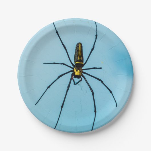 Halloween-Spinne Pappteller (Vorderseite)