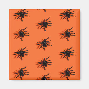 Halloween-Spinnenmuster Magnet