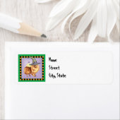 Halloween-Spitz (Insitu)