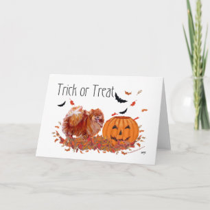 Halloween-Spitz Karte