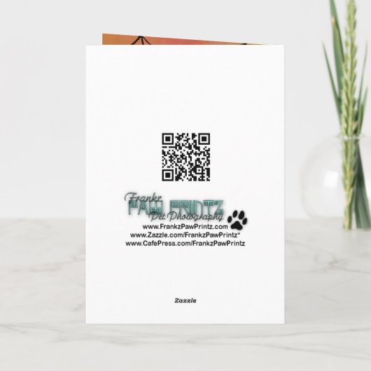 Halloween - Spitz - Simba Karte (Rückseite)