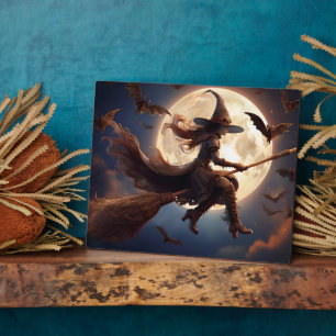 Halloween-Steampunk-Hexe-Mondlicht-Flug Fotoplatte