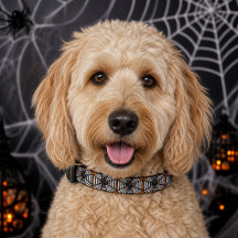 Halloween Style Black Spider Web auf Orange Dog