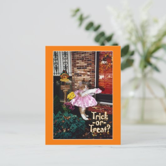 Halloween Trick-oder-Leckerei Kitty Postcard Postkarte (Stehend Vorderseite)