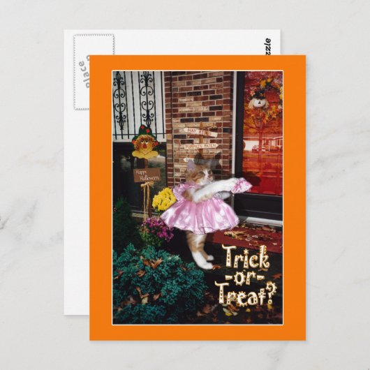 Halloween Trick-oder-Leckerei Kitty Postcard Postkarte (Vorne/Hinten)