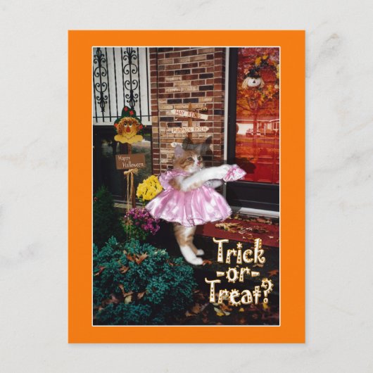 Halloween Trick-oder-Leckerei Kitty Postcard Postkarte (Vorderseite)