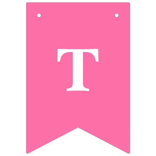 Halloween TRICK ODER TREAT Pink Pumpkins und Spinn Wimpelkette (Zweite Fahne)