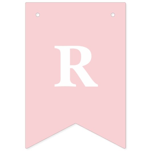 Halloween TRICK ODER TREAT Pink Pumpkins und Spinn Wimpelkette (Dritte Fahne)