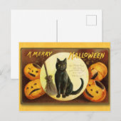 Halloween Vintage Katze und Pumpkins Postcard Postkarte (Vorne/Hinten)
