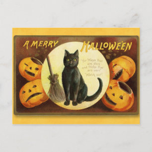 Halloween Vintage Katze und Pumpkins Postcard Postkarte
