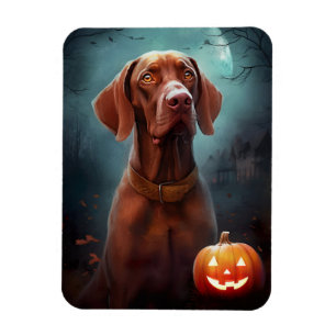 Halloween Vizsla mit Pumpkins Beängstigend Magnet