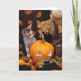 Halloween vom Herbst - Katze / KätzchenHalloween-K Karte