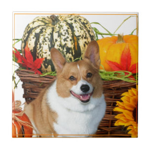 Halloween Waliser Corgihund Fliese