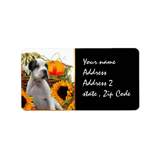 Halloween-Welpe Adressaufkleber (Vorne)