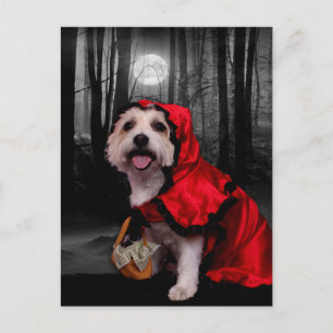 Halloween - Westie - Lady Postkarte
