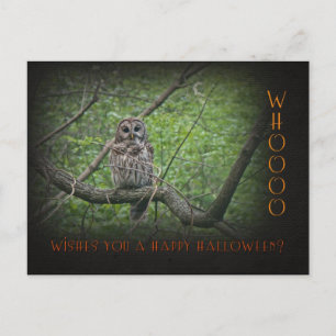 Halloween Wishies - Barred Owl Postkarte