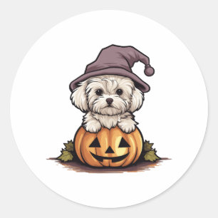 Halloween Witch Hat Pumpkin Dog Maltese Runder Aufkleber