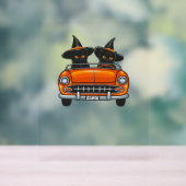 Halloween Witchy Cats Classic T - Shirt Acrylschild (Neutral)