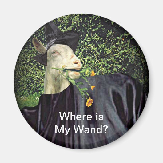 Halloween Wizard Goat Magnet (Vorne)