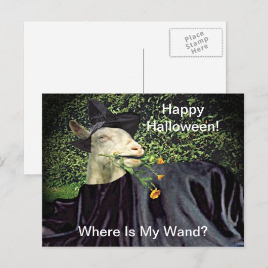 Halloween Wizard Goat Postkarte (Vorne/Hinten)