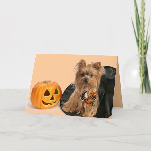 Halloween Yorkie Karte (Vorderseite)