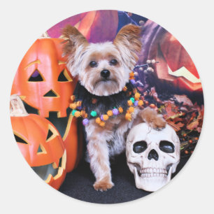 Halloween - Yorkie - Vinnie Runder Aufkleber