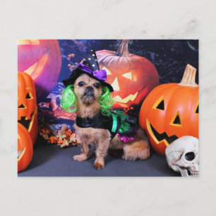 Halloween - YorkiePekeX -Clara Postkarte