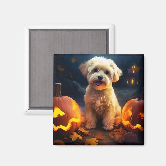 Halloween Yorkipoo mit Pumpkins Beängstigend Magnet (Vorderseite/Rückseite)