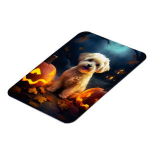 Halloween Yorkipoo mit Pumpkins Beängstigend Magnet