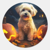 Halloween Yorkipoo mit Pumpkins Beängstigend Runder Aufkleber (Vorderseite)