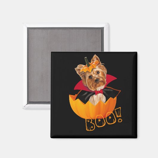 Halloween Yorkshire Terrier Kürbis Magnet (Vorderseite/Rückseite)