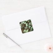 Halloween Zombie Cats Quadratischer Aufkleber (Umschlag)