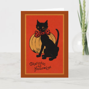 Halloweenkatze und -kürbis karte